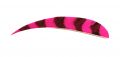 Натуральное оперение для стрел BUCK TRAIL cut SHIELD 5" LW FEATHERS BARRED PINK