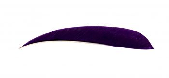 Натуральное оперение для стрел BUCK TRAIL cut round 5" RW  PURPLE
